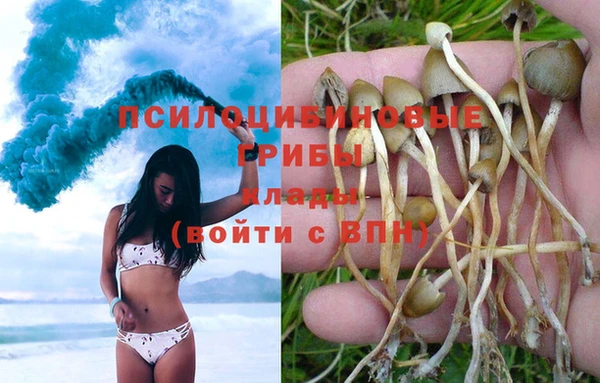 марки nbome Аркадак