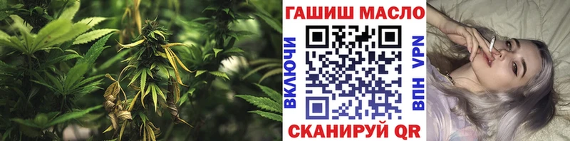 ТГК концентрат  где можно купить наркотик  Павловский Посад 