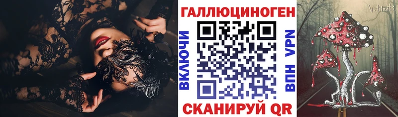OMG маркетплейс  Павловский Посад  Галлюциногенные грибы MAGIC MUSHROOMS  где купить  